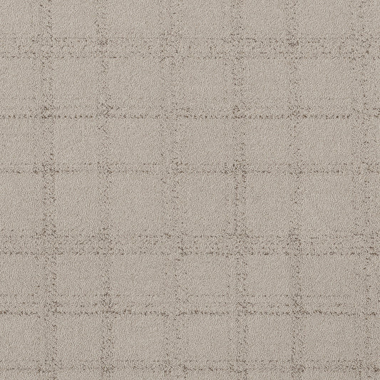 Shaw Floors - Carpet - Pet Perfect Collection - Natural Calm - 12' - River Birch