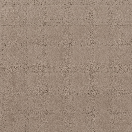 Shaw Floors - Carpet - Pet Perfect Collection - Natural Calm - 12' - Cameo