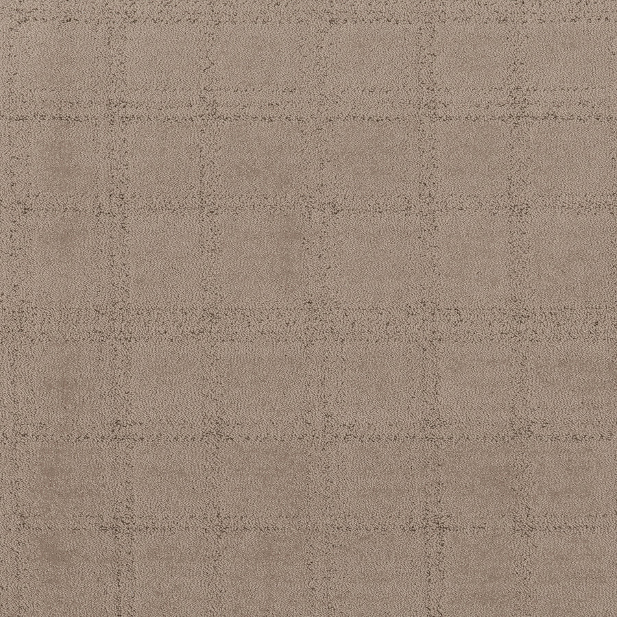 Shaw Floors - Carpet - Pet Perfect Collection - Natural Calm - 12' - Cameo