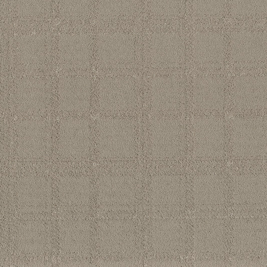 Shaw Floors - Carpet - Pet Perfect Collection - Natural Calm - 12' - Sculpture