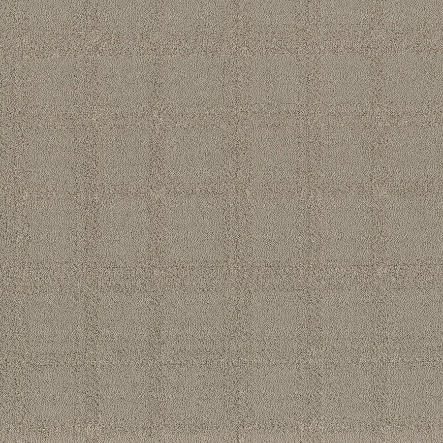 Shaw Floors - Carpet - Pet Perfect Collection - Natural Calm - 12' - Sculpture
