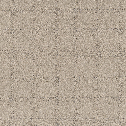 Shaw Floors - Carpet - Pet Perfect Collection - Natural Calm - 12' - Warm Light