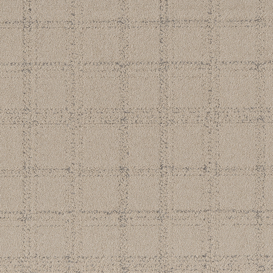 Shaw Floors - Carpet - Pet Perfect Collection - Natural Calm - 12' - Warm Light
