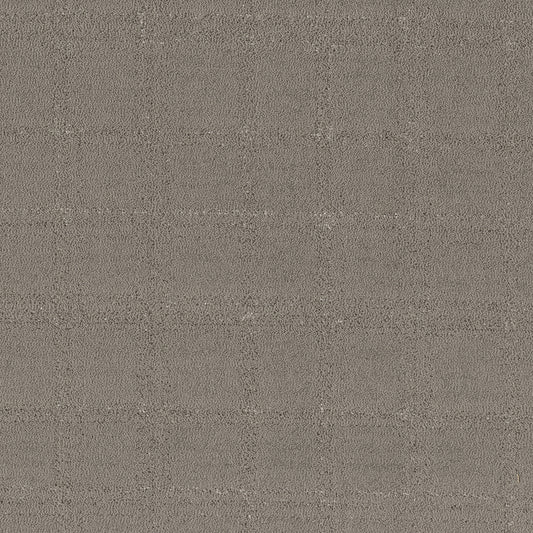 Shaw Floors - Carpet - Pet Perfect Collection - Natural Calm - 12' - Ashes