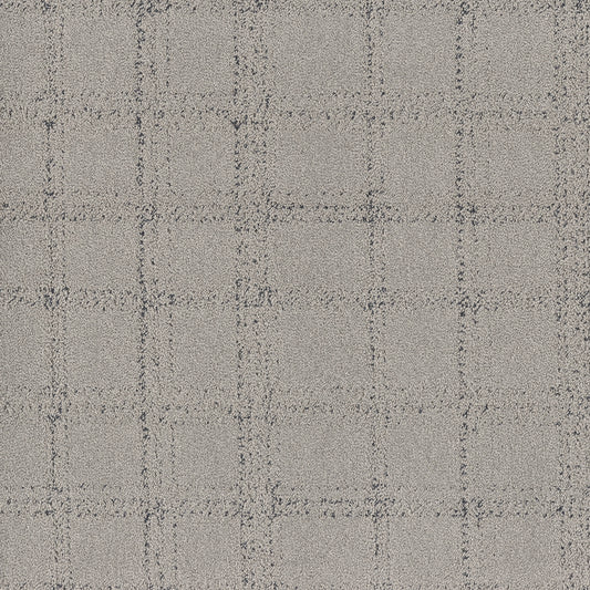 Shaw Floors - Carpet - Pet Perfect Collection - Natural Calm - 12' - Flannel
