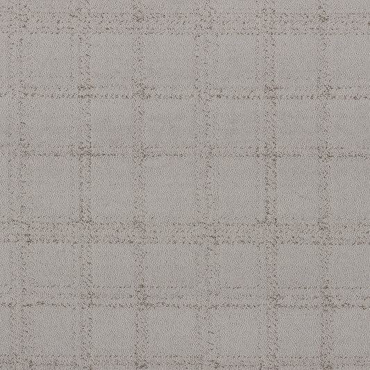 Shaw Floors - Carpet - Pet Perfect Collection - Natural Calm - 12' - Gravity