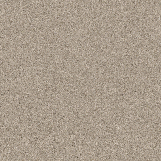 Shaw Floors - Carpet - Simply the Best Values Collection - Trusolutions I - 12' - Sand