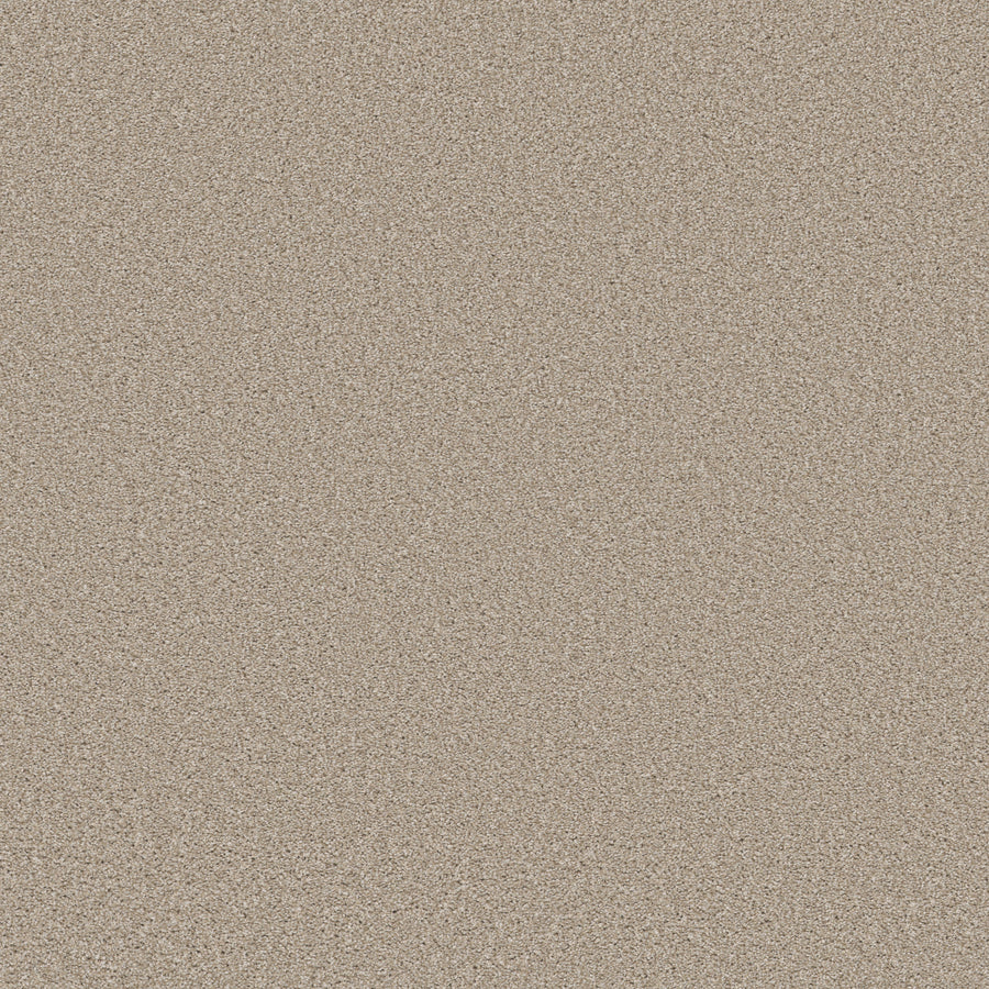 Shaw Floors - Carpet - Simply the Best Values Collection - Trusolutions I - 12' - Sand