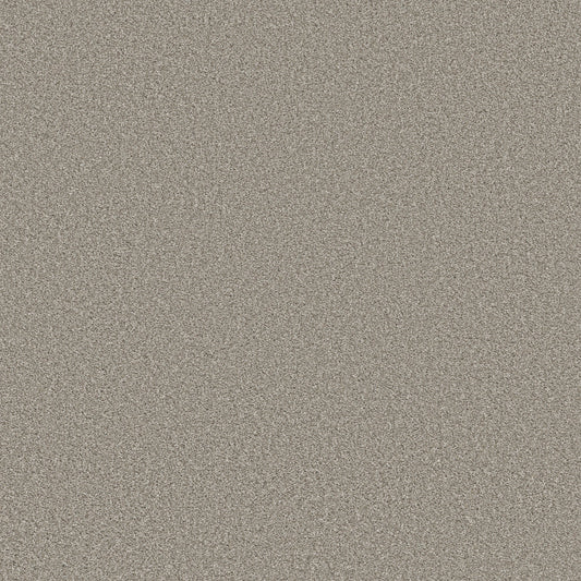 Shaw Floors - Carpet - Simply the Best Values Collection - Trusolutions I - 12' - Stone Path