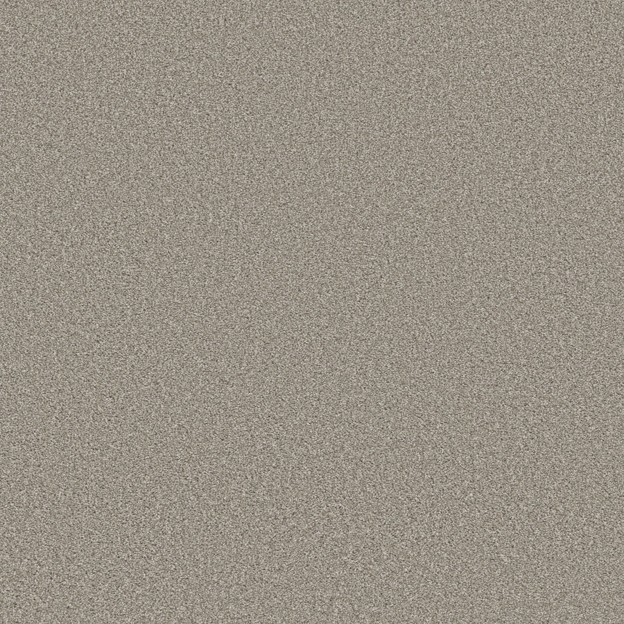 Shaw Floors - Carpet - Simply the Best Values Collection - Trusolutions I - 12' - Stone Path