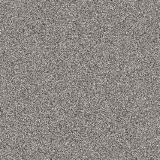 Shaw Floors - Carpet - Simply the Best Values Collection - Trusolutions I - 12' - Storm Cloud