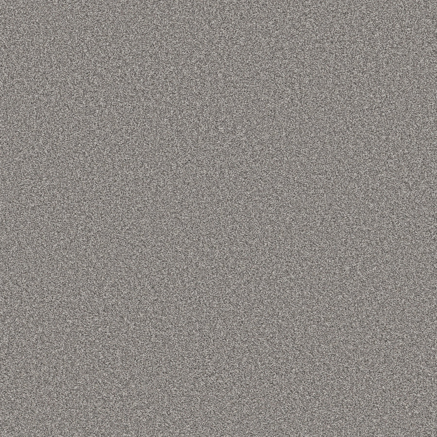 Shaw Floors - Carpet - Simply the Best Values Collection - Trusolutions I - 12' - Storm Cloud