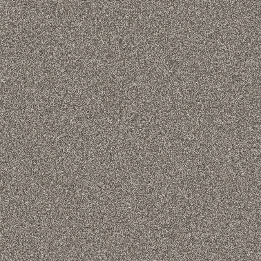 Shaw Floors - Carpet - Simply the Best Values Collection - Trusolutions I - 12' - Tree Bark