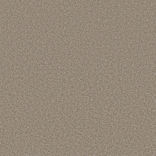 Shaw Floors - Carpet - Simply the Best Values Collection - Trusolutions I - 12' - Beach Cabana
