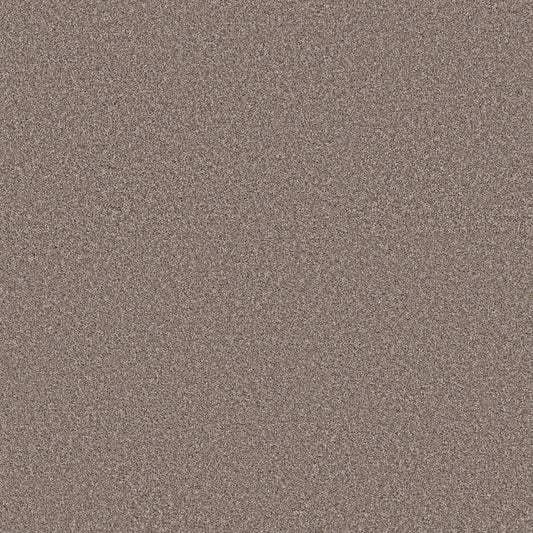 Shaw Floors - Carpet - Simply the Best Values Collection - Trusolutions I - 12' - Taupe Dream