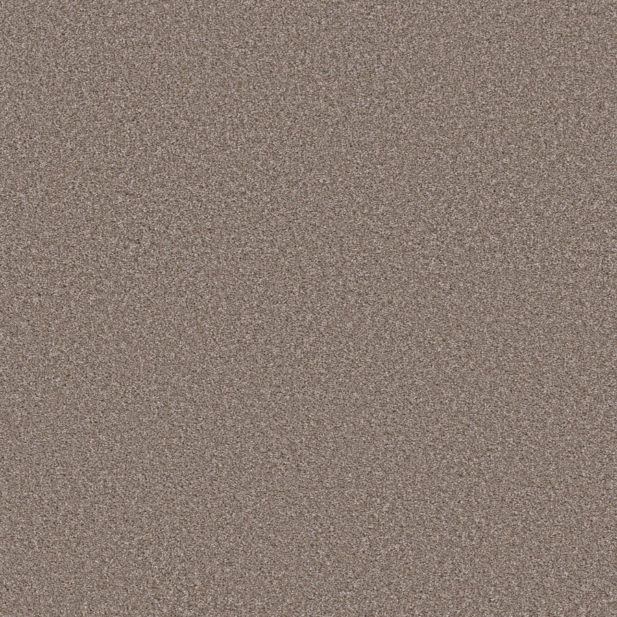 Shaw Floors - Carpet - Simply the Best Values Collection - Trusolutions I - 12' - Taupe Dream