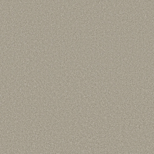 Shaw Floors - Carpet - Simply the Best Values Collection - Trusolutions II - 12' - Bleached Oak