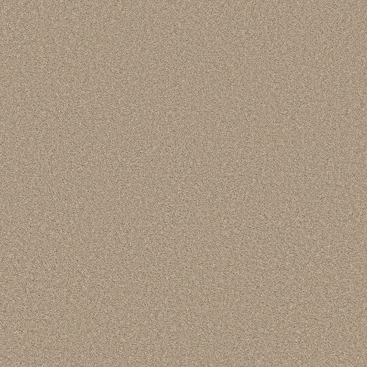 Shaw Floors - Carpet - Simply the Best Values Collection - Trusolutions II - 12' - Sheer Natural