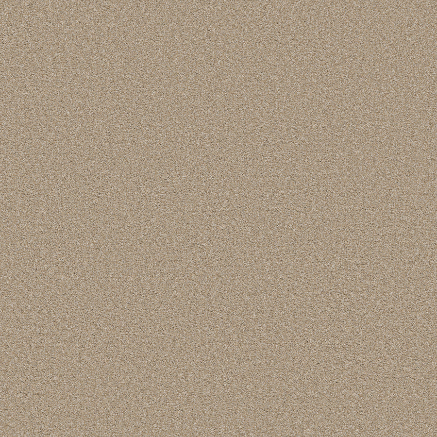 Shaw Floors - Carpet - Simply the Best Values Collection - Trusolutions II - 12' - Sheer Natural