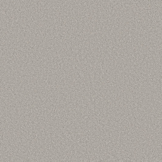 Shaw Floors - Carpet - Simply the Best Values Collection - Trusolutions II - 12' - Clear Sky