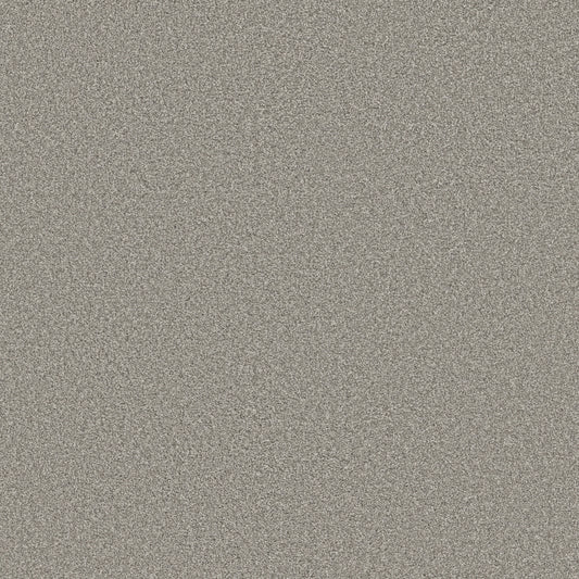Shaw Floors - Carpet - Simply the Best Values Collection - Trusolutions II - 12' - Concrete