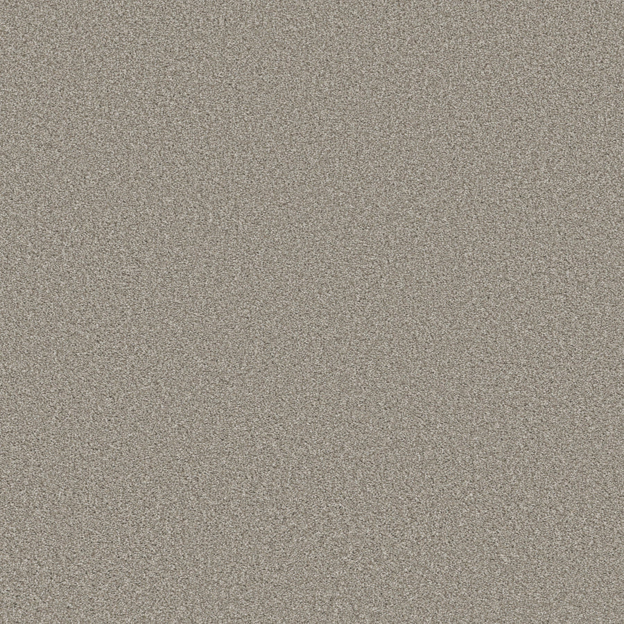 Shaw Floors - Carpet - Simply the Best Values Collection - Trusolutions II - 12' - Stone Path