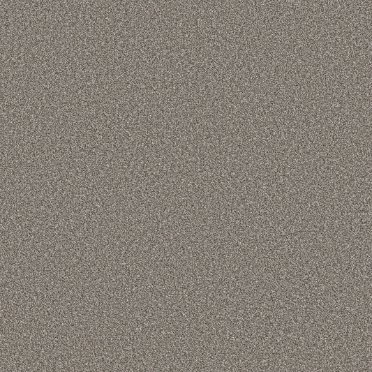 Shaw Floors - Carpet - Simply the Best Values Collection - Trusolutions II - 12' - Tree Bark