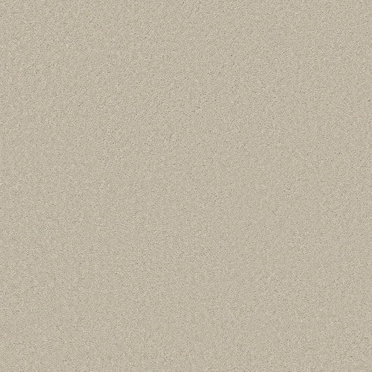 Shaw Floors - Carpet - Simply the Best Values Collection - Well Made - 12' - Creamy
