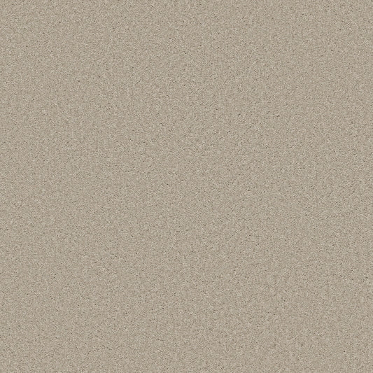 Shaw Floors - Carpet - Simply the Best Values Collection - Well Made - 12' - Ecru