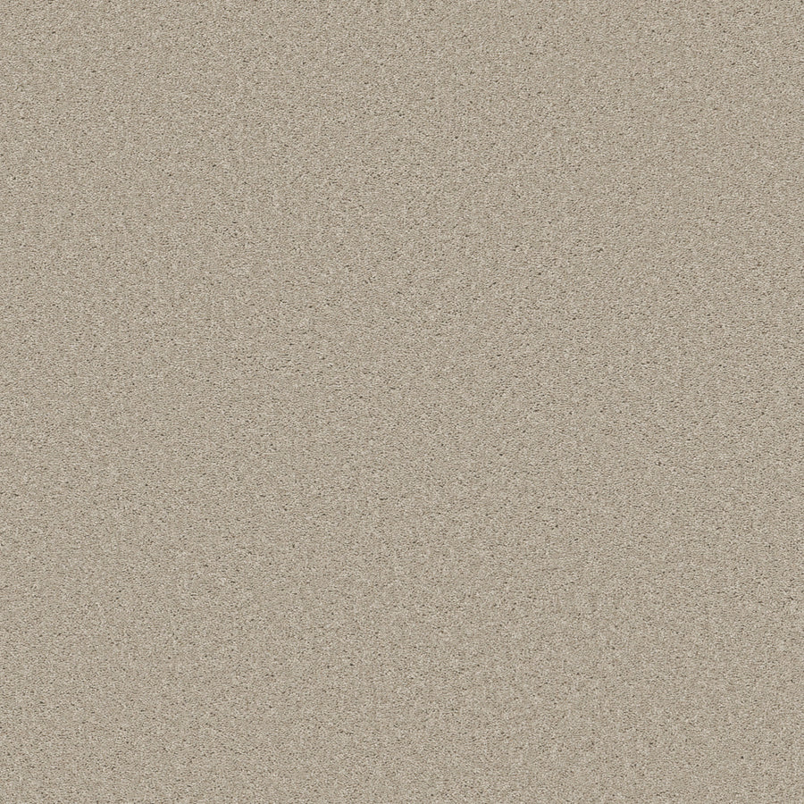 Shaw Floors - Carpet - Simply the Best Values Collection - Well Made - 12' - Ecru