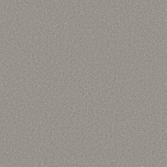 Shaw Floors - Carpet - Simply the Best Values Collection - Well Made - 12' - Sheer Silver