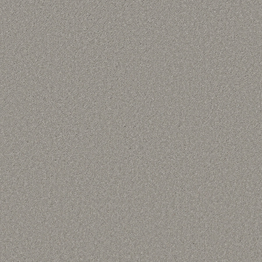 Shaw Floors - Carpet - Simply the Best Values Collection - Well Made - 12' - Sheer Silver