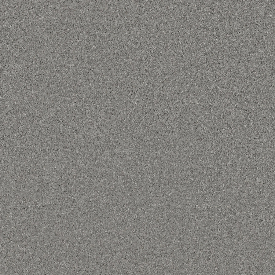 Shaw Floors - Carpet - Simply the Best Values Collection - Well Made - 12' - Nickel