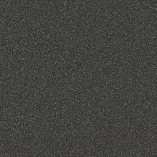 Shaw Floors - Carpet - Simply the Best Values Collection - Well Made - 12' - Charcoal