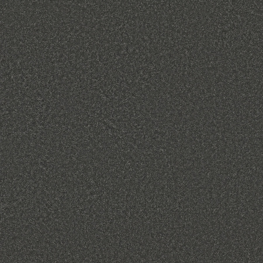 Shaw Floors - Carpet - Simply the Best Values Collection - Well Made - 12' - Charcoal