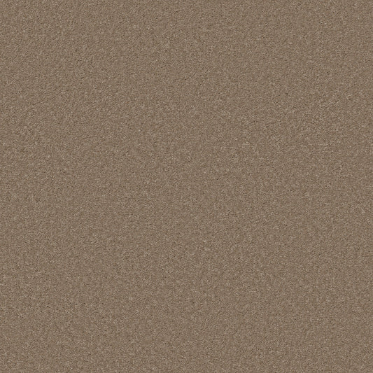 Shaw Floors - Carpet - Simply the Best Values Collection - Well Made - 12' - Pebble Creek