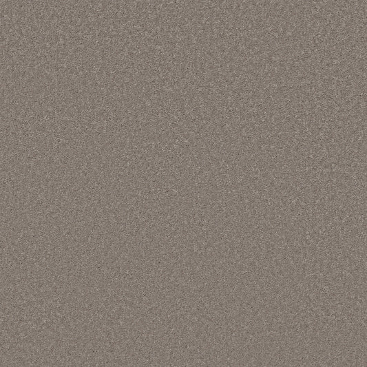 Shaw Floors - Carpet - Simply the Best Values Collection - Well Made - 12' - Mocha Frost