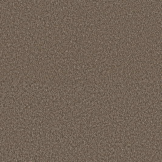 Shaw Floors - Carpet - Pet Perfect + Collection - Renewed Energy I - 12' - Freckles