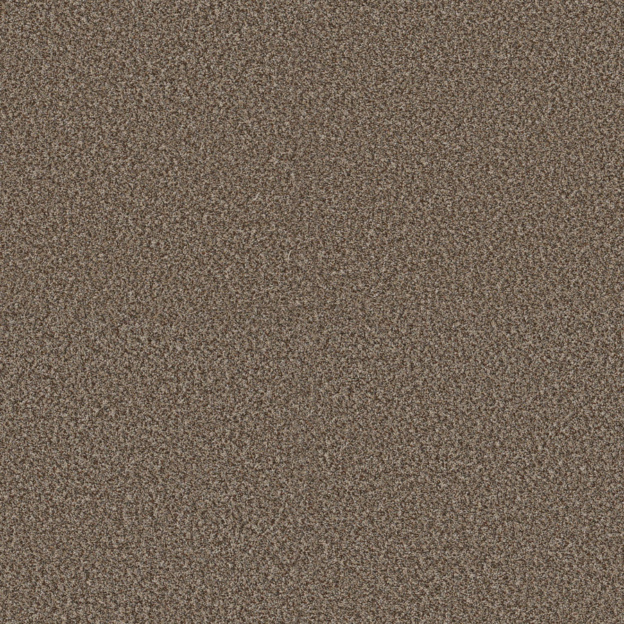 Shaw Floors - Carpet - Pet Perfect + Collection - Renewed Energy I - 12' - Freckles