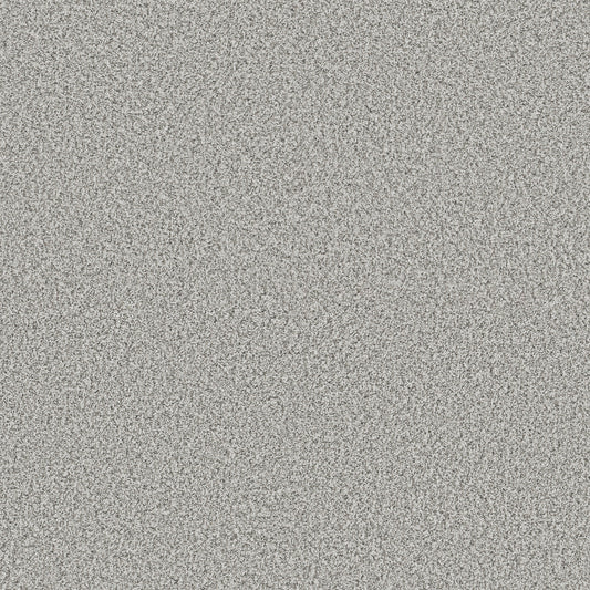 Shaw Floors - Carpet - Pet Perfect + Collection - Renewed Energy I - 12' - Snow Bound