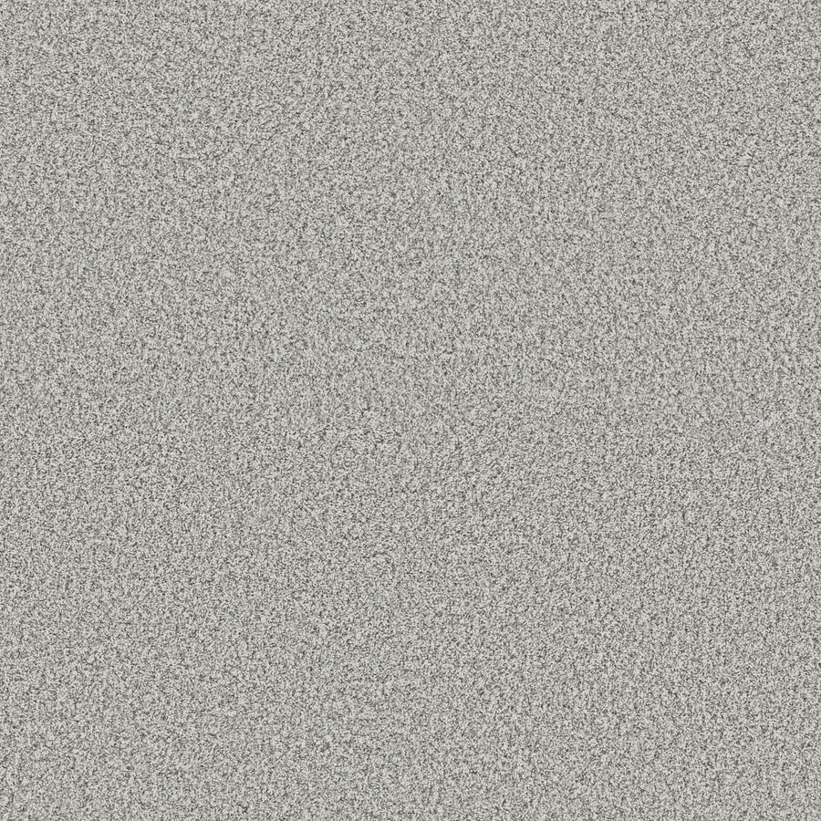 Shaw Floors - Carpet - Pet Perfect + Collection - Renewed Energy I - 12' - Snow Bound