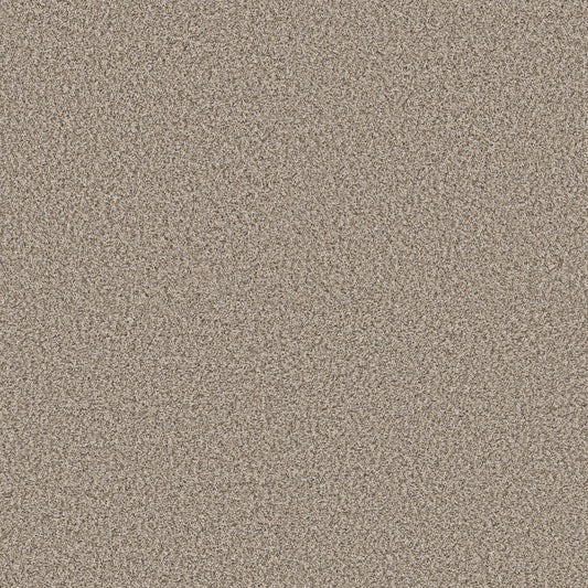 Shaw Floors - Carpet - Pet Perfect + Collection - Renewed Energy I - 12' - Sandstone