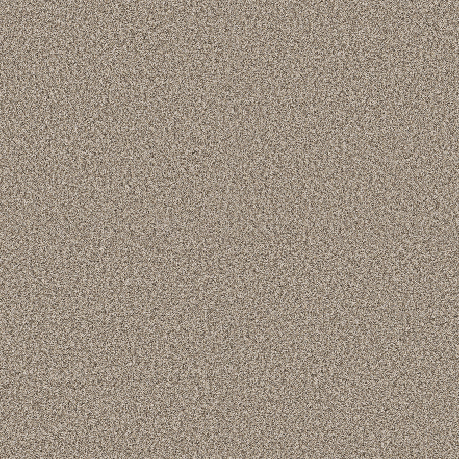 Shaw Floors - Carpet - Pet Perfect + Collection - Renewed Energy I - 12' - Sandstone