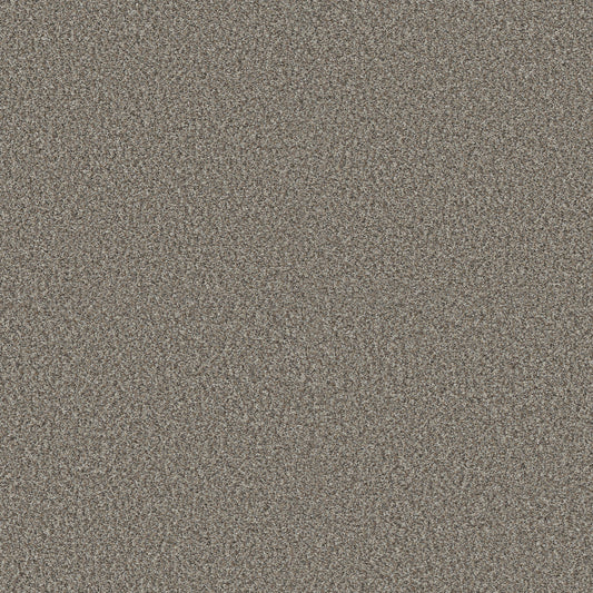 Shaw Floors - Carpet - Pet Perfect + Collection - Renewed Energy I - 12' - Granite
