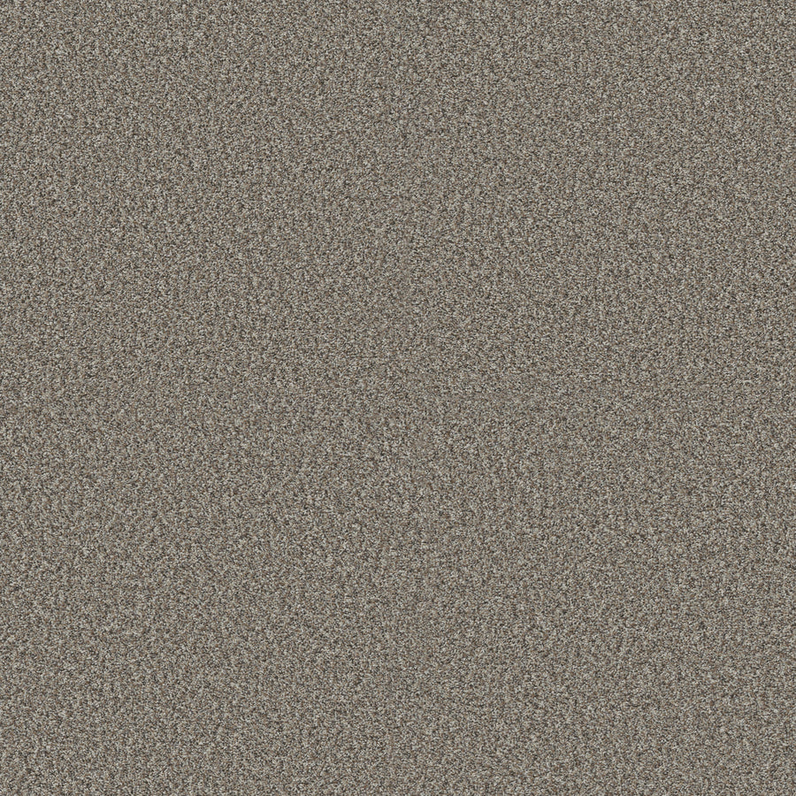 Shaw Floors - Carpet - Pet Perfect + Collection - Renewed Energy I - 12' - Granite