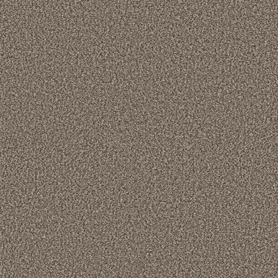 Shaw Floors - Carpet - Pet Perfect + Collection - Renewed Energy I - 12' - Countryside
