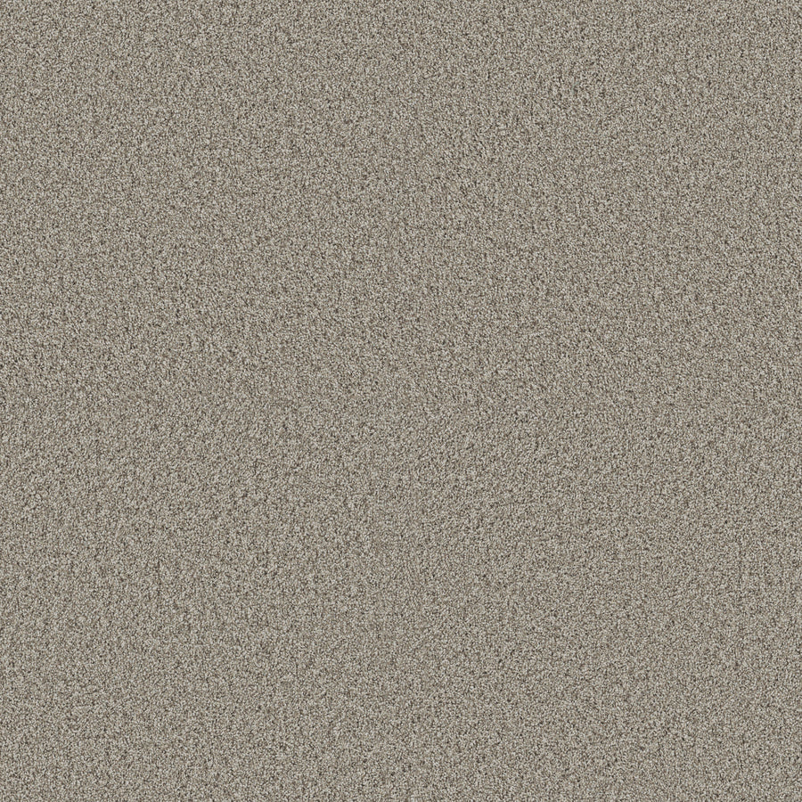 Shaw Floors - Carpet - Pet Perfect + Collection - Renewed Energy I - 12' - Landscape