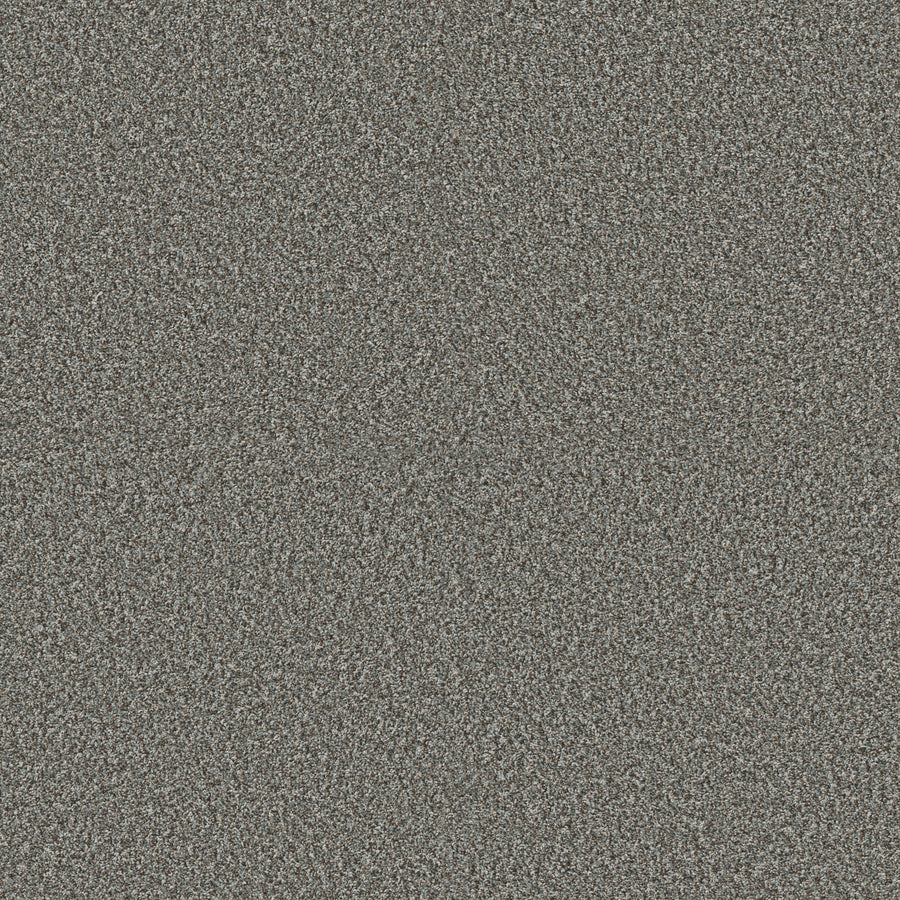 Shaw Floors - Carpet - Pet Perfect + Collection - Renewed Energy I - 12' - Paris Sky