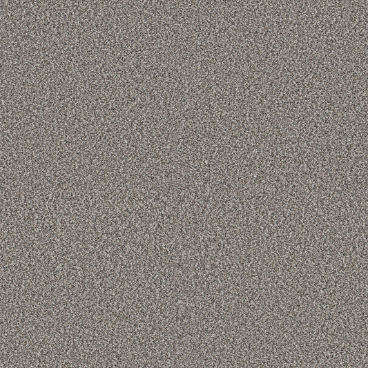 Shaw Floors - Carpet - Pet Perfect + Collection - Renewed Energy I - 12' - Fog
