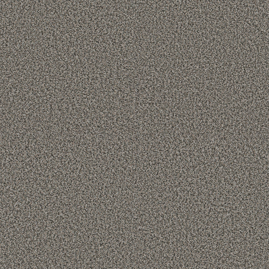 Shaw Floors - Carpet - Pet Perfect + Collection - Renewed Energy I - 12' - Shadow